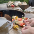 artiss_grille16a.jpg