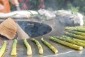 artiss_grille2.jpg