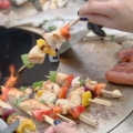 artiss_grille15a.jpg