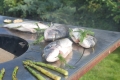 artiss_grille1.jpg