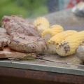 artiss_grille12a.jpg