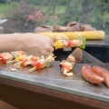 artiss_grille17a.jpg
